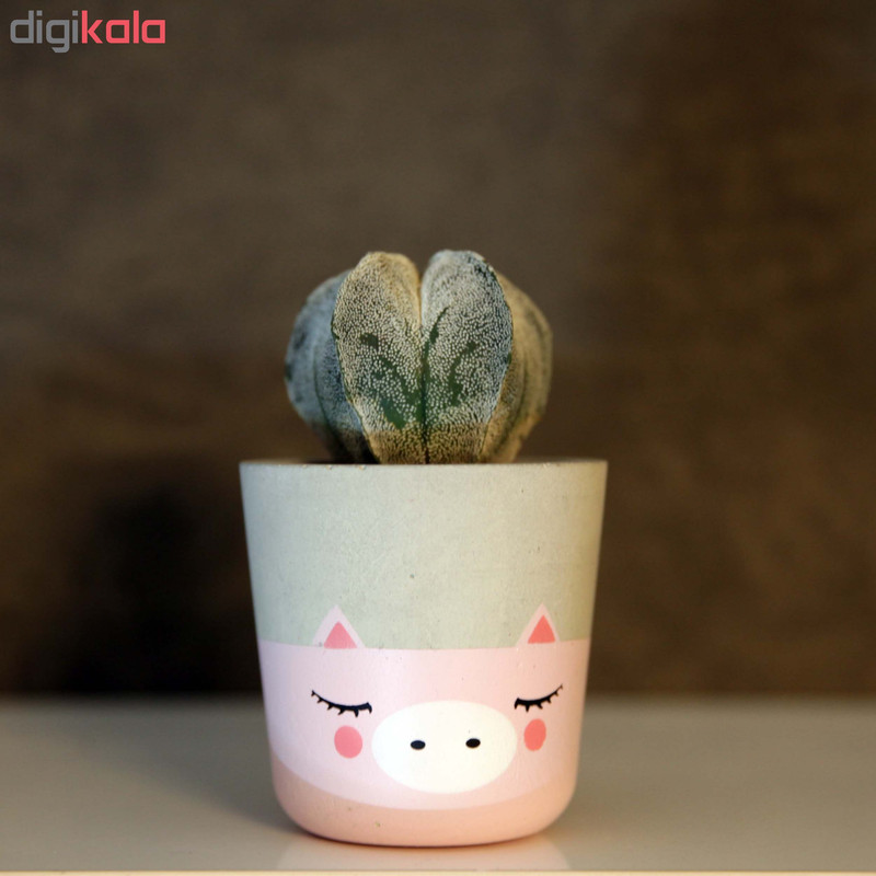 گلدان زیو استودیو مدل ALPI-1 گلدان زیو استودیو مدل ALPI-1