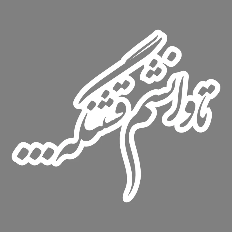 برچسب بدنه خودرو طرح تاوانشم قشنگه... کد MT-W429