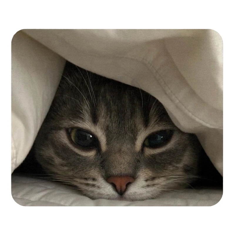 ماوس پد مدل گربه و پیشی سایز 19x24 سانتی متر