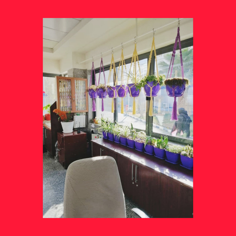 گلدان مدل مربع کد 20cm بسته 2 عددی