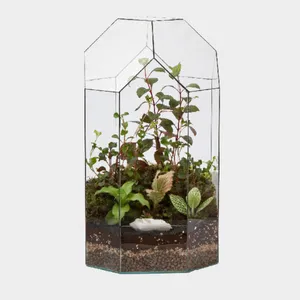 تراریوم مدل آرمیس کد g-tr-sol-133