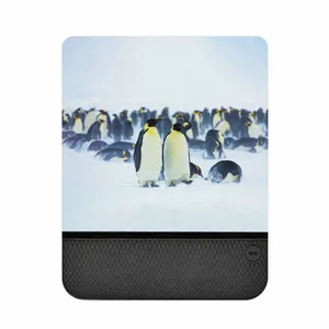 MAHOOT  SML-Penguin Mouse Pad