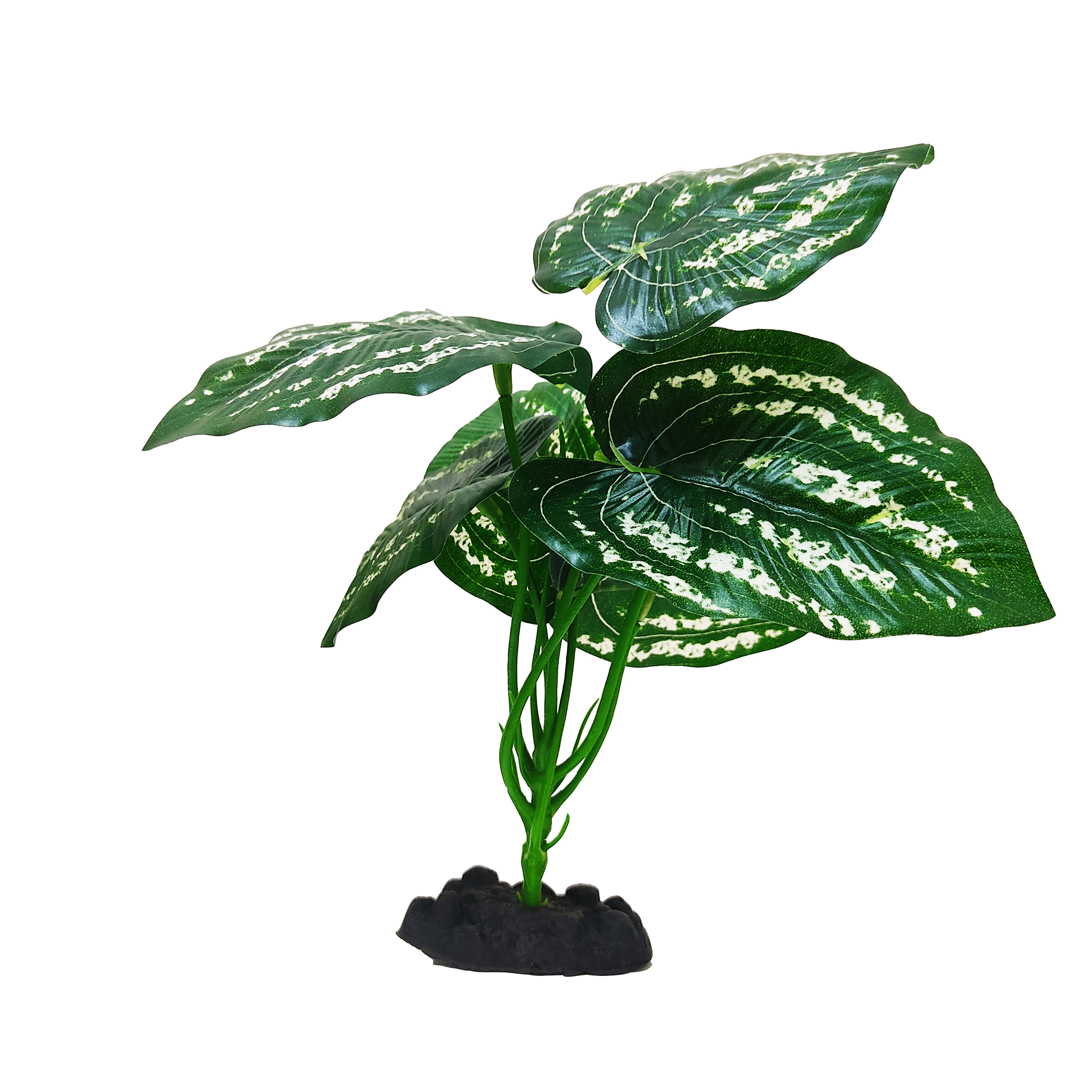 گیاه تزیینی آکواریوم کد H09