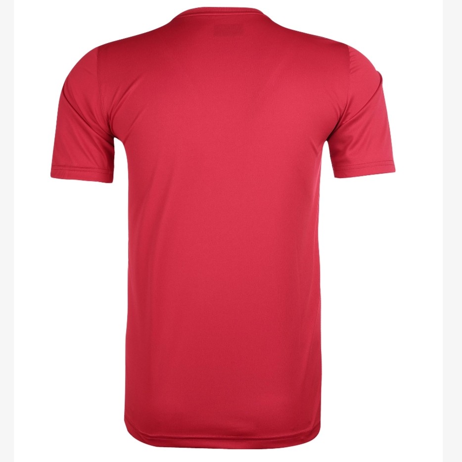 ست تی شرت آستین کوتاه و شلوارک ورزشی مردانه آلشپرت مدل MUH1209 -  - 3