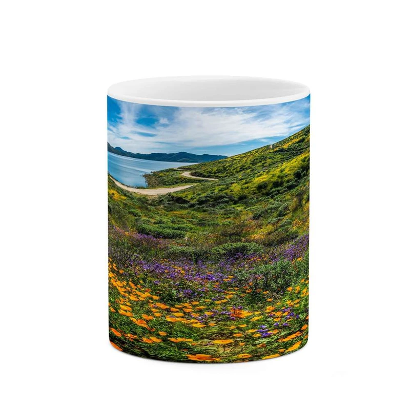 ماگ کاکتی مدل منظره کد mgh13261