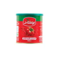 کنسرو رب گوجه فرنگی بیدستان - 800 گرم