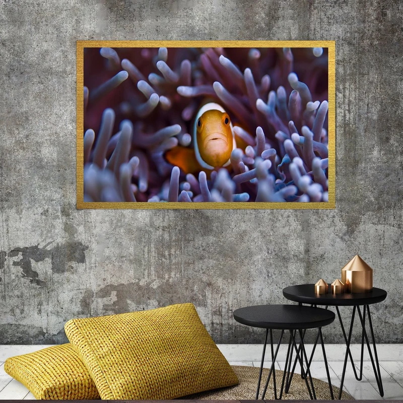 تابلو بکلیت طرح دریا و ماهی مدل قاب شاسی T-S7686