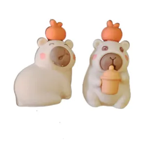 پاک کن مدل کپی بارا مجموعه 2 عددی