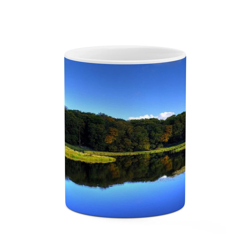 ماگ کاکتی مدل منظره کد mgh17753