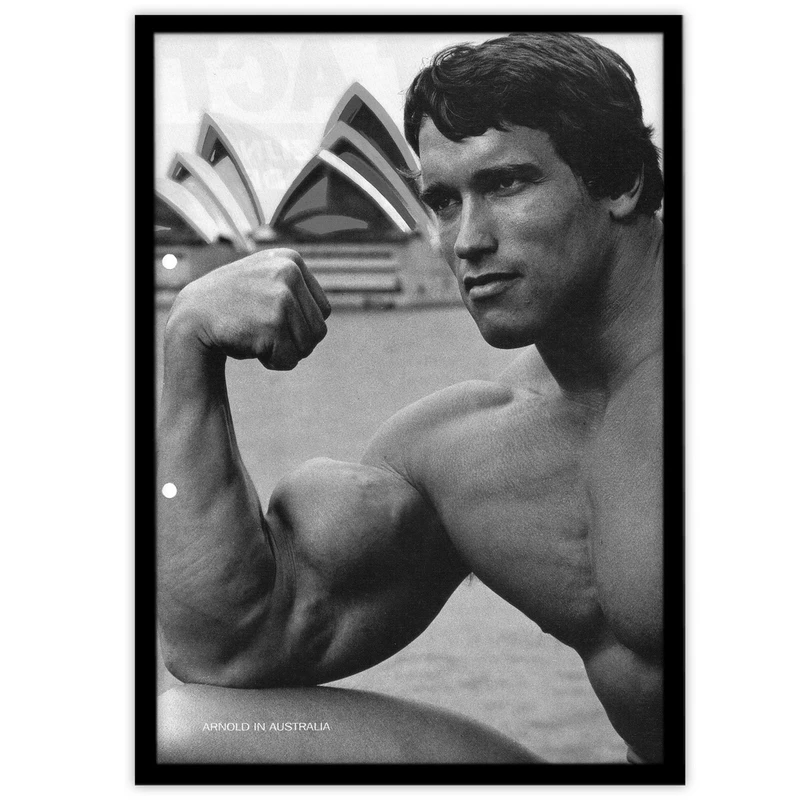 تابلو بکلیت طرح ورزش بدنسازی آرنولد مدل B-S2444