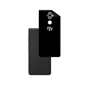 PG RG Back Skin For BLACKBERRY Evolve X