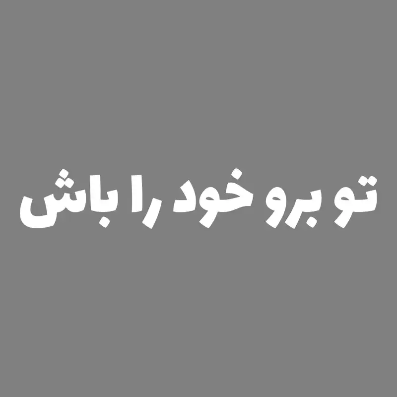 برچسب بدنه خودرو طرح تو برو خود را باش کد MT-W419