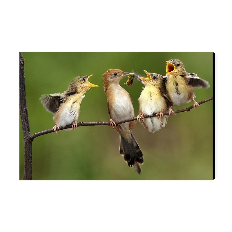 تابلو شاسی عرش مدل فانتزی پرنده زیبا کد As4766