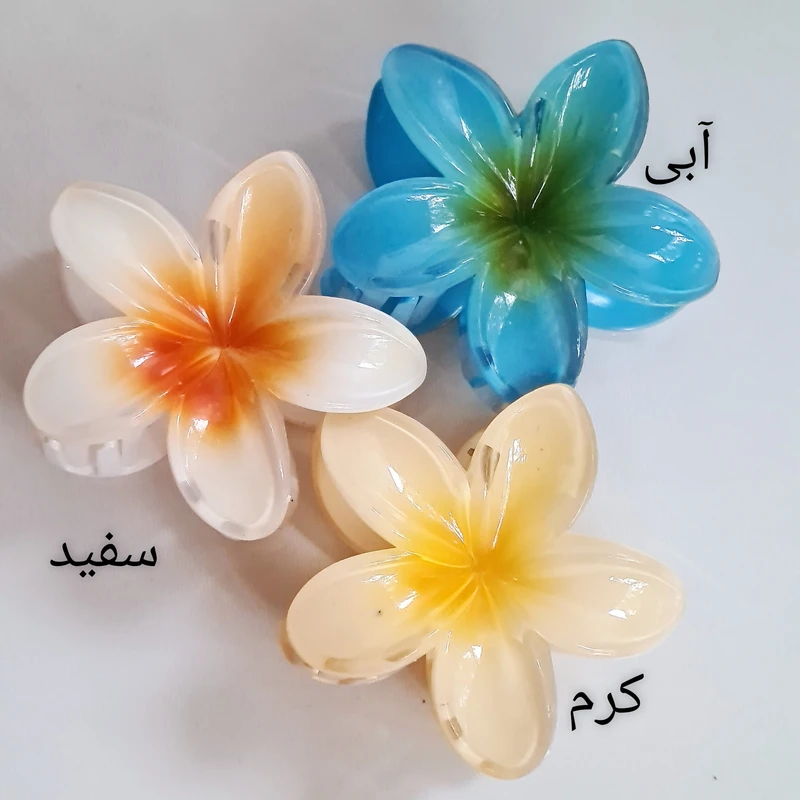 عکس شماره 3