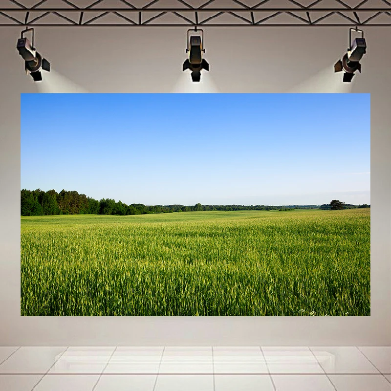  تابلو بوم طرح مخمل طبیعت مدل مزرعه سرسبز کد PD20287
