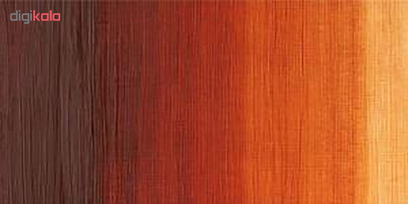 رنگ روغن وینزور اند نیوتون مدل BURNT SIENNA 2 حجم 37 میلی لیتر رنگ روغن وینزور اند نیوتون مدل BURNT SIENNA 2 حجم 37 میلی لیتر