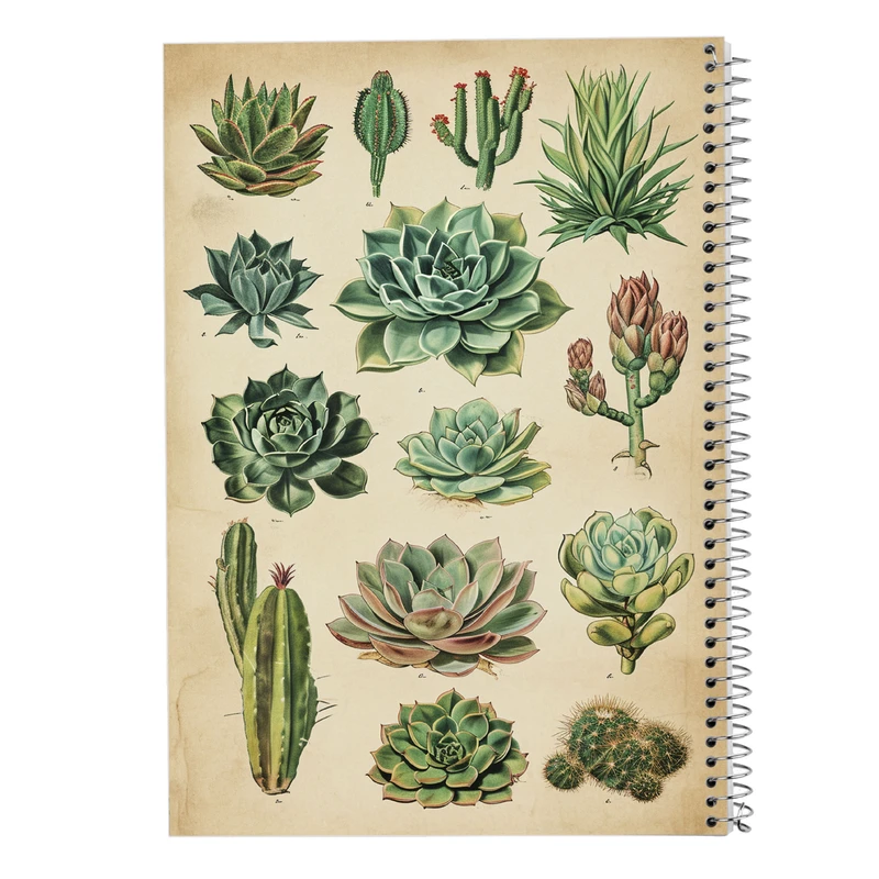 دفتر شطرنجی 50 برگ مدوپد مدل گل کد DF13769