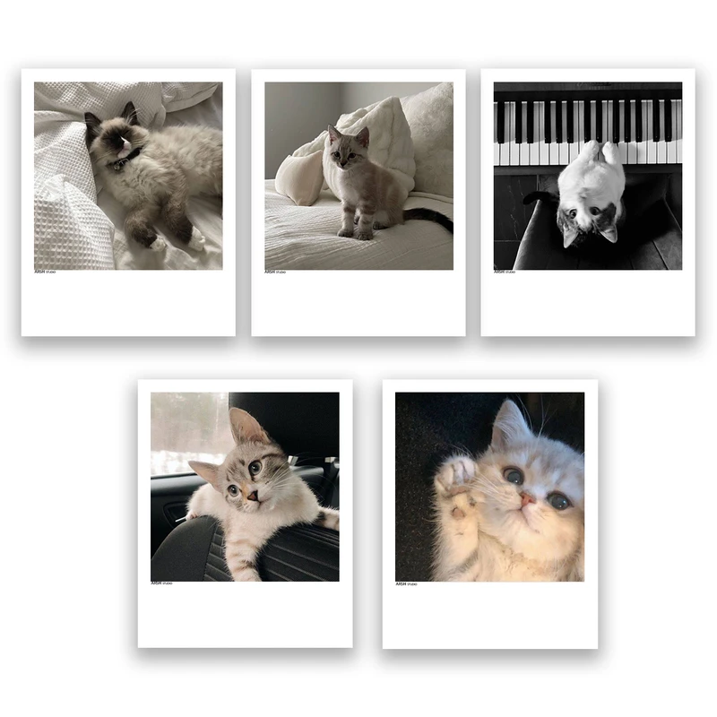 آویز تزیینی عرش مدل فانتزی گربه بامزه کد Asa317 مجموعه پنچ عددی