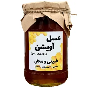 عسل آویشن و گل های کوهی عشایر - 1 کیلوگرم 