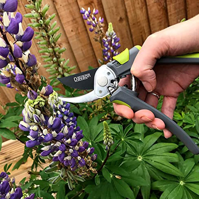 قیچی باغبانی داواون مدل DAVSEC004 مجموعه دو عددی