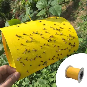 چسب حشره کش مدل H1001 عرض 15 سانتی متر طول 100 متر