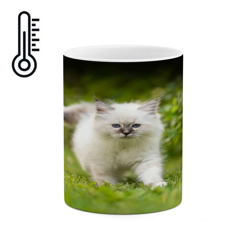 ماگ حرارتی کاکتی مدل گربه کد mgh16417