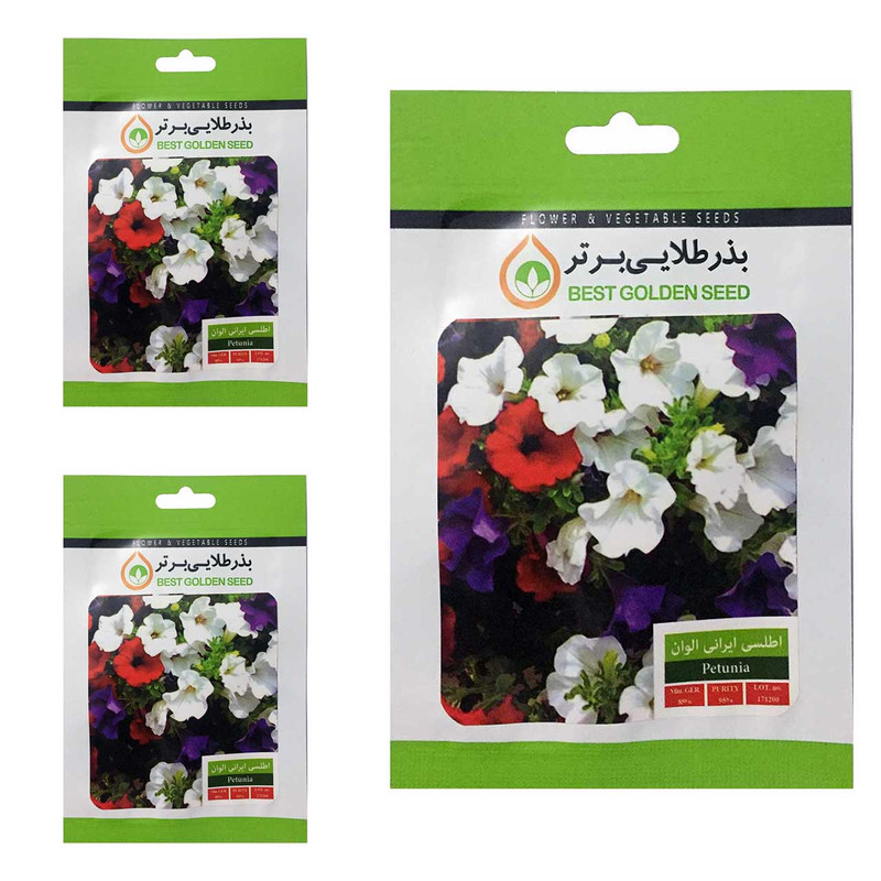بذر گل اطلسی ایرانی الوان بذر طلایی برتر کد BTB-07 مجموعه 3 عددی