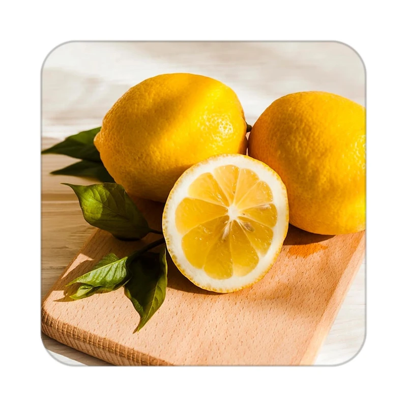 زیر لیوانی کاکتی طرح میوه مدل mp21395