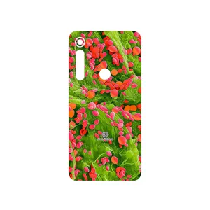 MAHOOT Atom Universe 3 Cover Sticker for Motorola One Macro