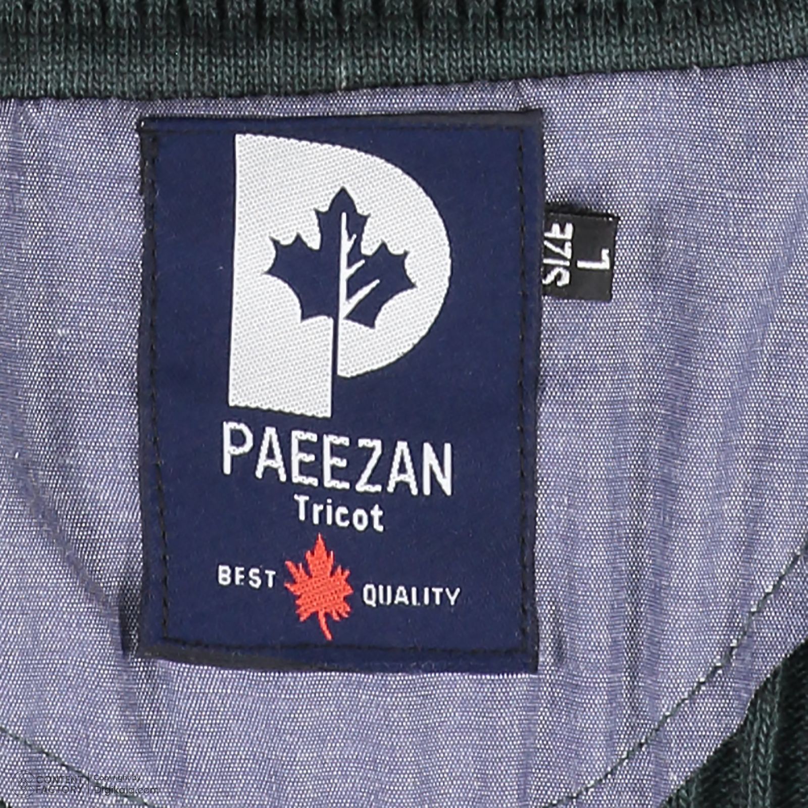 پلیور یقه اسکی مردانه تریکو پاییزان مدل PE800 - - 35