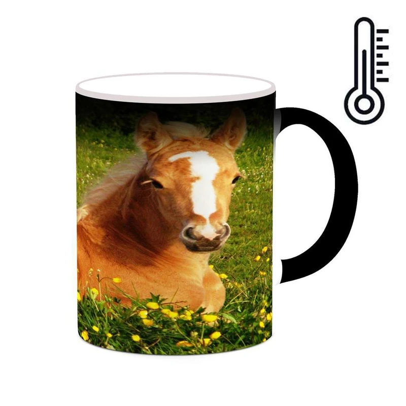 ماگ حرارتی کاکتی مدل اسب کد mgh24309