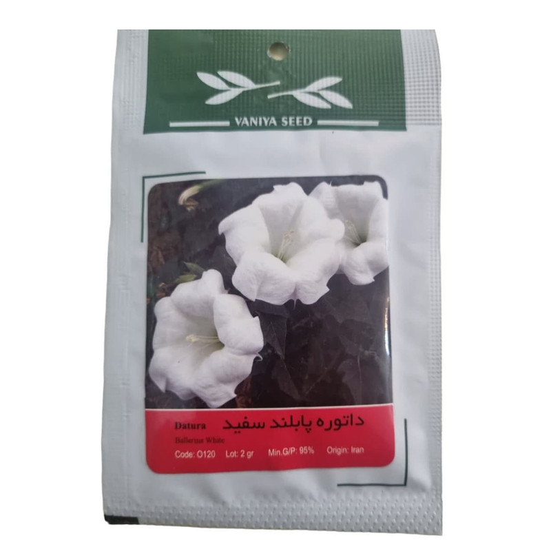 بذر گل داتوره پابلند سفید وانیا سید مدل BA13626