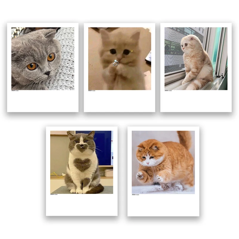 آویز تزیینی عرش مدل فانتزی گربه بامزه کد Asa323 مجموعه پنچ عددی