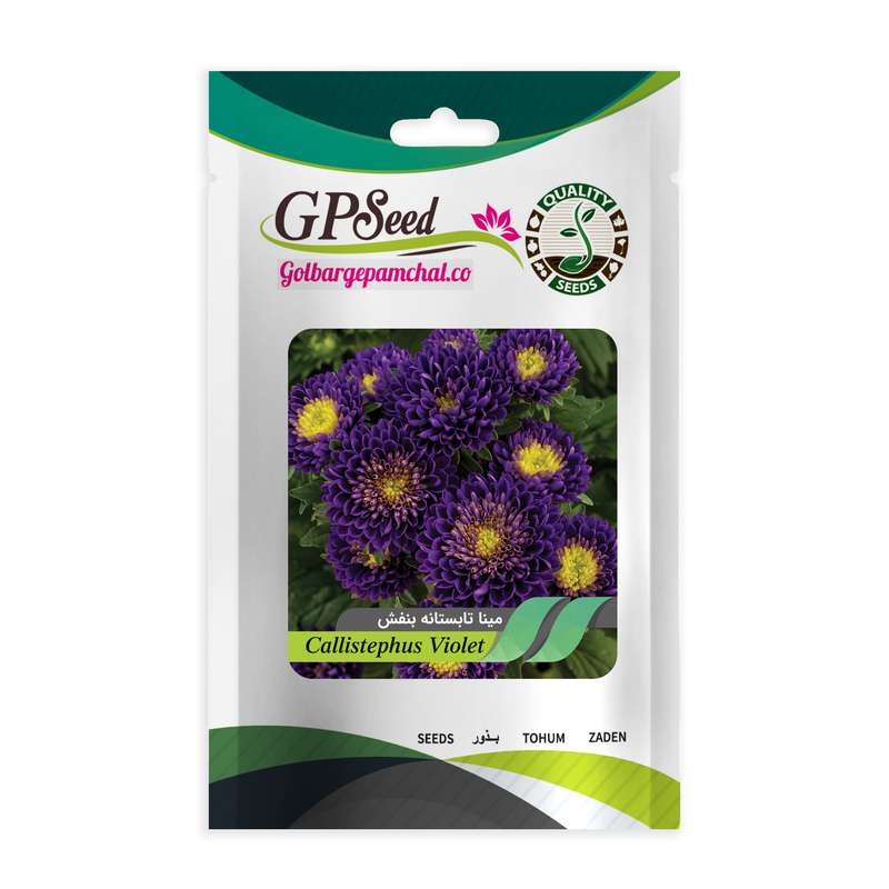 بذر گل مینا تابستانه بنفش گلبرگ پامچال کد GPF-269