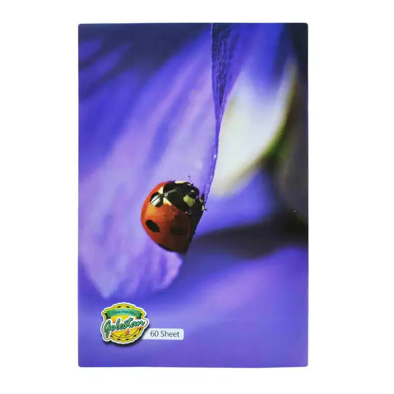 دفتر مشق 60 برگ گلستان کد 150