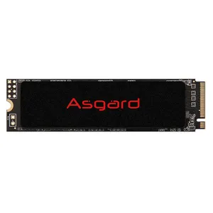 اس اس دی اینترنال ازگارد مدل AN2 NVMe-M2.80 ظرفیت 250 گیگابایت