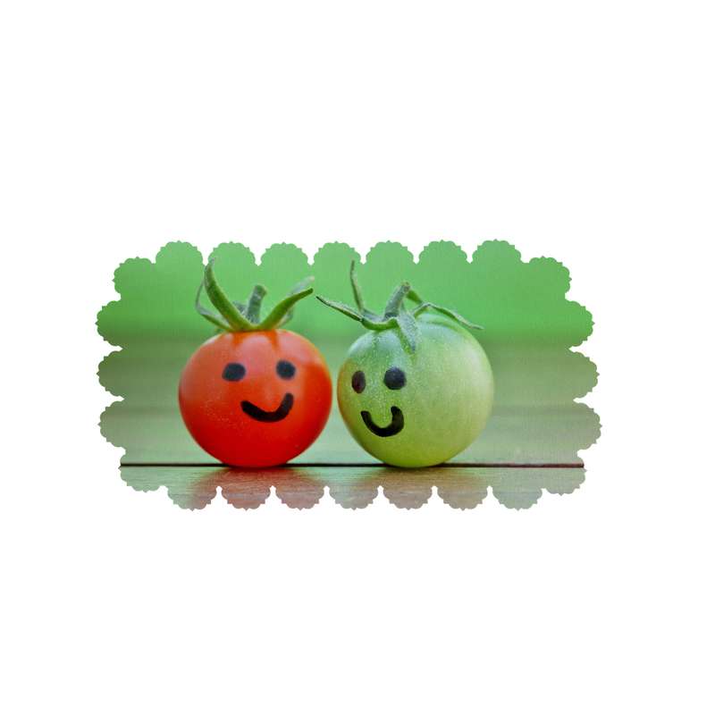 رومیزی طرح گوجه فرنگی کد 6327R