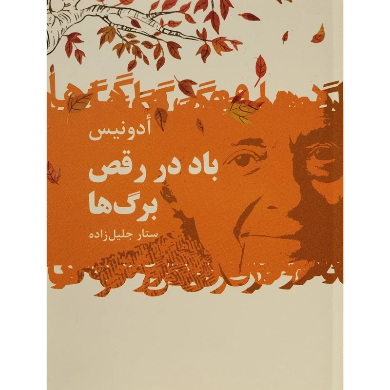 کتاب باد در رقص برگ ها اثر ادونيس انتشارات گل آذين