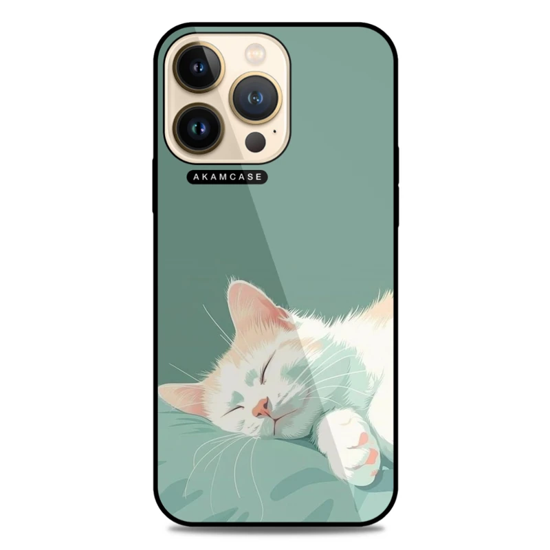 کاور آکام مدل AMC-WA13PRO-CATS-24 مناسب برای گوشی موبایل اپل iPhone 13 Pro