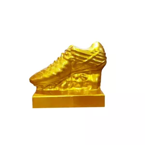 تندیس مدل کفش طلا