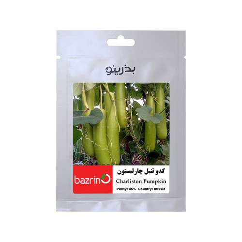 بذر کدو تنبل چارلیستون بذرینو کد BZNO-198