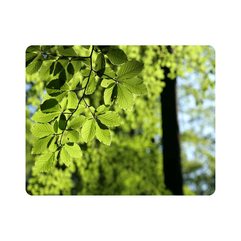 ماوس پد اطلس آبی طرح برگ و درخت مدل T7096