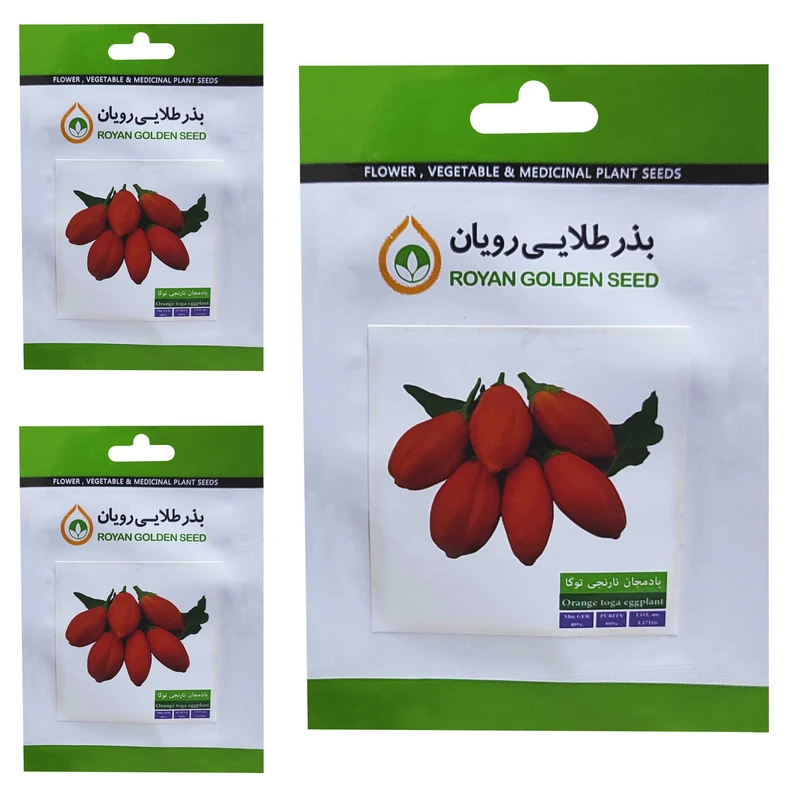 بذر بادمجان نارنجی توگا بذر طلایی رویان کد BZT-150 مجموعه 3 عددی