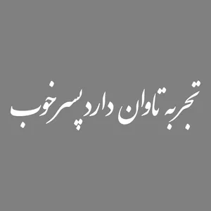 برچسب بدنه خودرو طرح تجربه تاوان دارد پسر خوب کد MT-W504