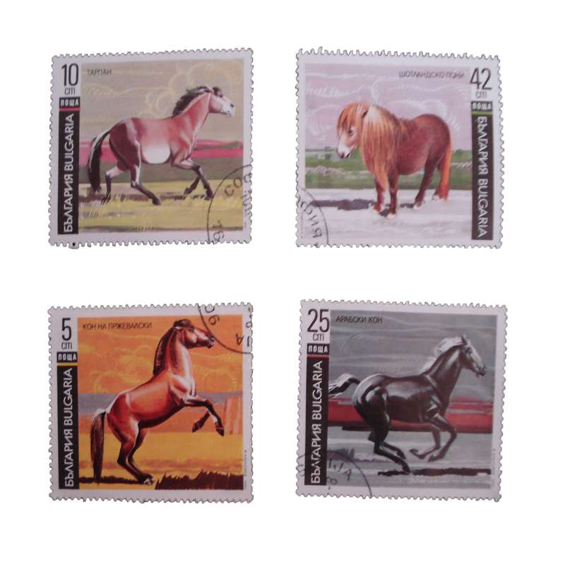 تمبر یادگاری مدل حیوانات کد DS1538 مجموعه 4 عددی
