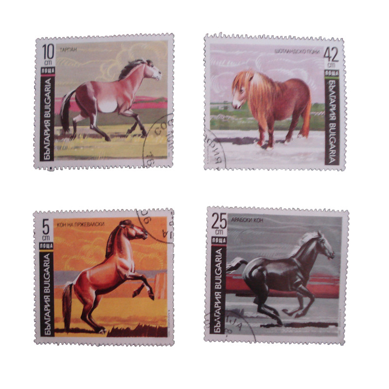 تمبر یادگاری مدل حیوانات کد DS1538  مجموعه 4 عددی