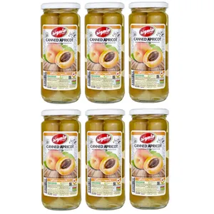 کمپوت زردآلو ماهوند - 480 گرم مجموعه 6 عددی