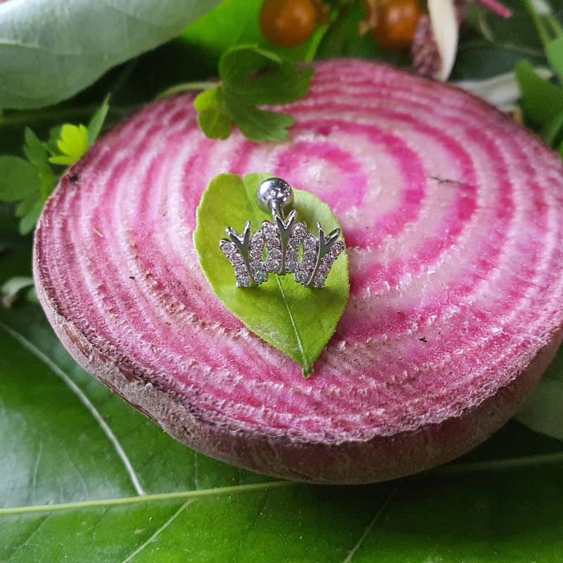 پیرسینگ گوش زنانه پایتخت مدل PS287