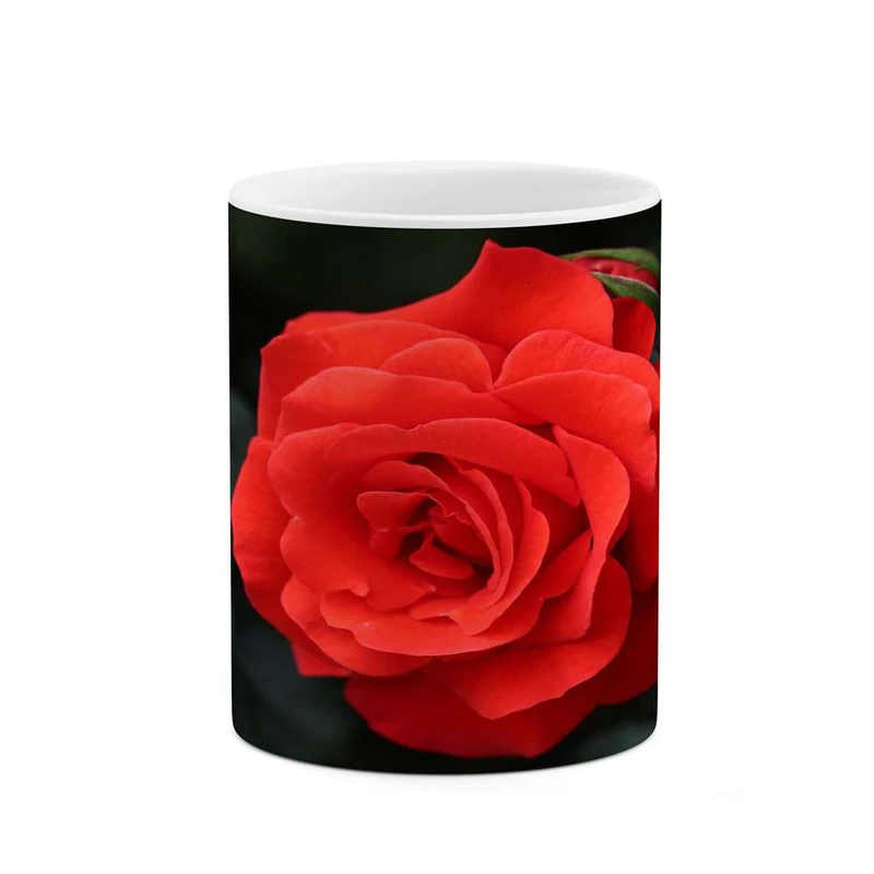 ماگ کاکتی مدل گل کد mgh16217