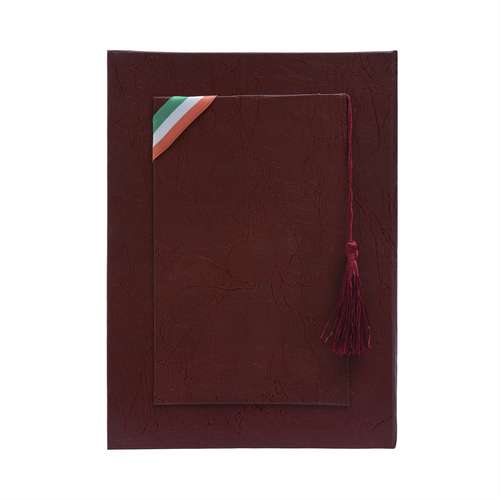 لوح تقدیر مدل SA304